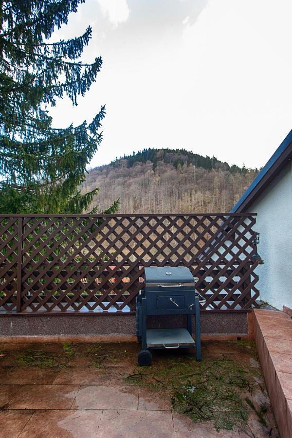 Vila Imperial Bed & Breakfast Sinaia Exterior photo